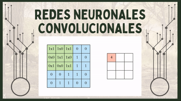 Convolutional Neural Network